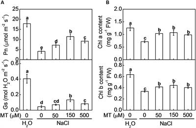 Exogenous Melatonin Confers Salt Stress Tolerance to Watermelon by Improving Photosynthesis and Redox Homeostasis